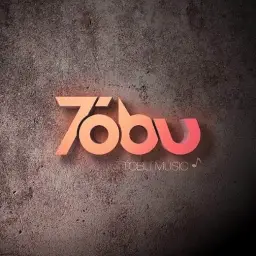 Tobu - Calling (Alex Skrindo Remix) (신남)