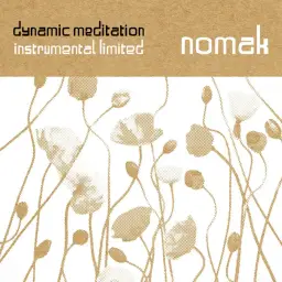Nomak - Never Lost Control (쓸쓸, 진지, 비트)