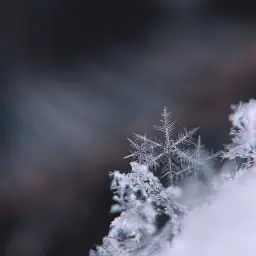 자취만남 - 내 마음에 한 송이 눈꽃을(뉴에이지, 포근, 겨울, 동양풍, 피아노, 쓸쓸)