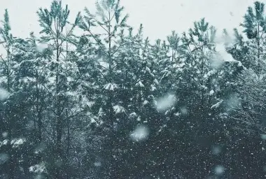 Kang thoven - The Snow Queen 1악장
