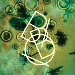 Bibio - Down To the Sound [잔잔, 적막, 바이브]