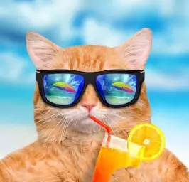 tom_atom - Lingering Summer Heat (아련, 웅장, 칩튠, 보사노바, 평화)
