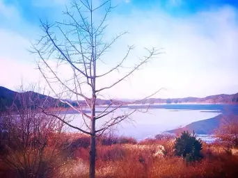 [신나는 EDM 하우스 자작곡] Harace Kim - Under The Sunshine (햇빛 아래에서)