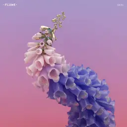 Flume - Numb & Getting Colder (feat. Kučka) [ 'Skin' Album ]