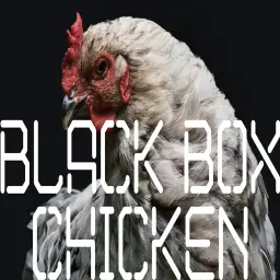 BLACK BOX - Chicken(유머, 엽기, 신남, 비트, 즐거움, 흥겨움, 클럽, 흥함, 활기, 행복, 경쾌, 일렉)