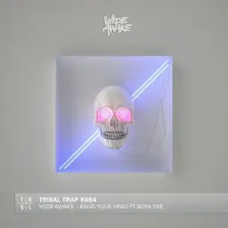 WiDE AWAKE - Bang Your Head {Feat. Boya Dee} (웅장,비장,흥함,일렉)