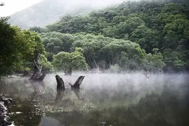 Essbee- 신비수