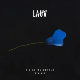 Lauv - I Like Me Better (Cheat Codes Remix) (신비, 경쾌, 비트, 리믹스)