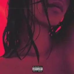 LOUD HOUND - No Good