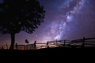 Neul - Night in the Moonlight (평화,신비,잔잔,순수,아련,몽환,피아노)