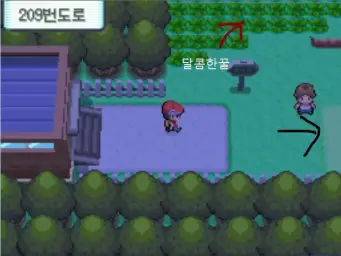 포켓몬스터 다이아몬드 펄 플라티나(D P PT)-209,212,222번도로(평화,즐거움,흥겨움,순수,발랄)