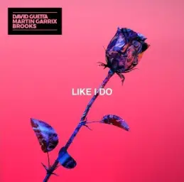 David Guetta,Martin Gurrix,Brooks - Like I Do (Sivan Remix)