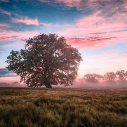 CRSD - Clear (감동, 신남, 뉴에이지)