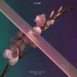 Flume - Never Be Like You (feat. Kai) [ 'Skin' Album ]