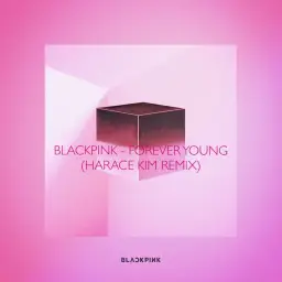 [원곡과 다르지만 신나고 멜로딕한!] BLACKPINK (블랙핑크) - Forever Young (Harace Kim Remix)