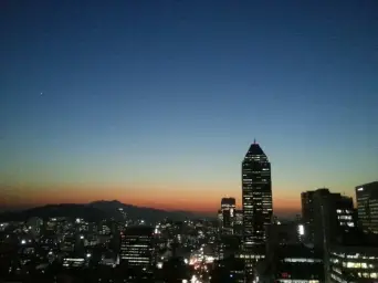 한스 란다 테마 비트