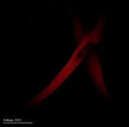 Celtique - The Years To Come (애절, 쓸쓸, 비트, 몽환)