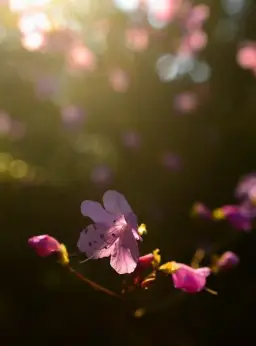 유희왕DM1기 국내판 엔딩-The One (아련,감동,추억,훈훈)