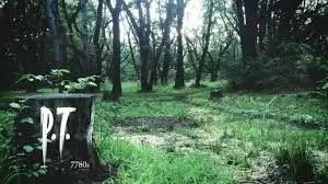 (공포,긴박,게임) Silent Hills - Playable Teser [Background Music 01 + Lisa Crying]