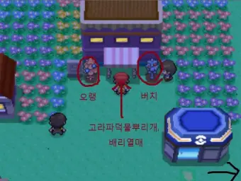 포켓몬스터 다이아몬드 펄 플라티나(D P PT)-꽃향기마을(평화,잔잔,순수,몽환,여유,달달)